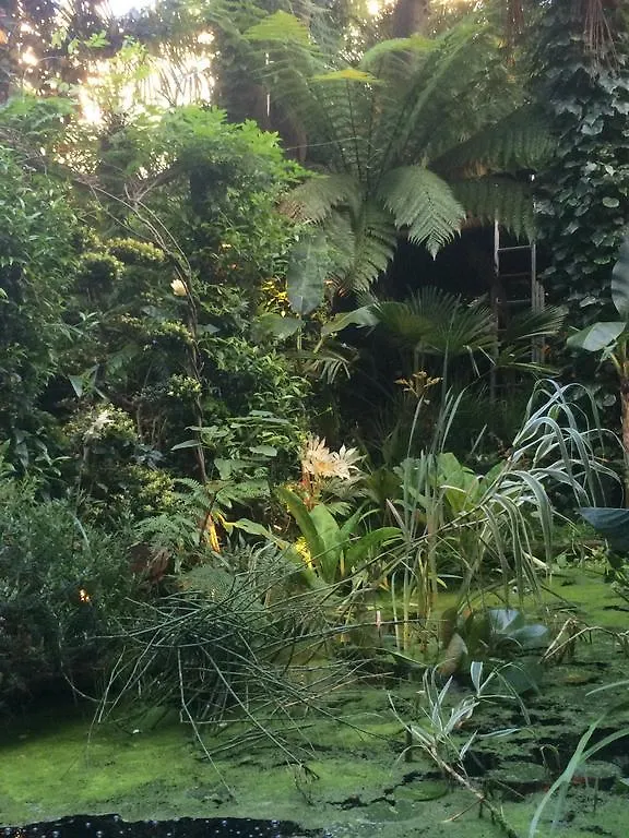 Garden Suite Centre Amsterdam 3*,  Netherlands